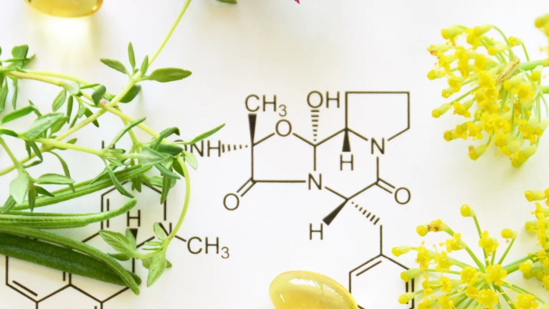 Psychobiotika Chemie